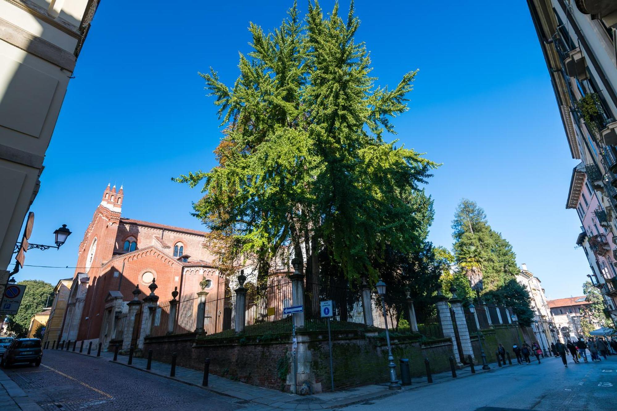 Residenza Corso Palladio 159 Vicenza Exteriér fotografie